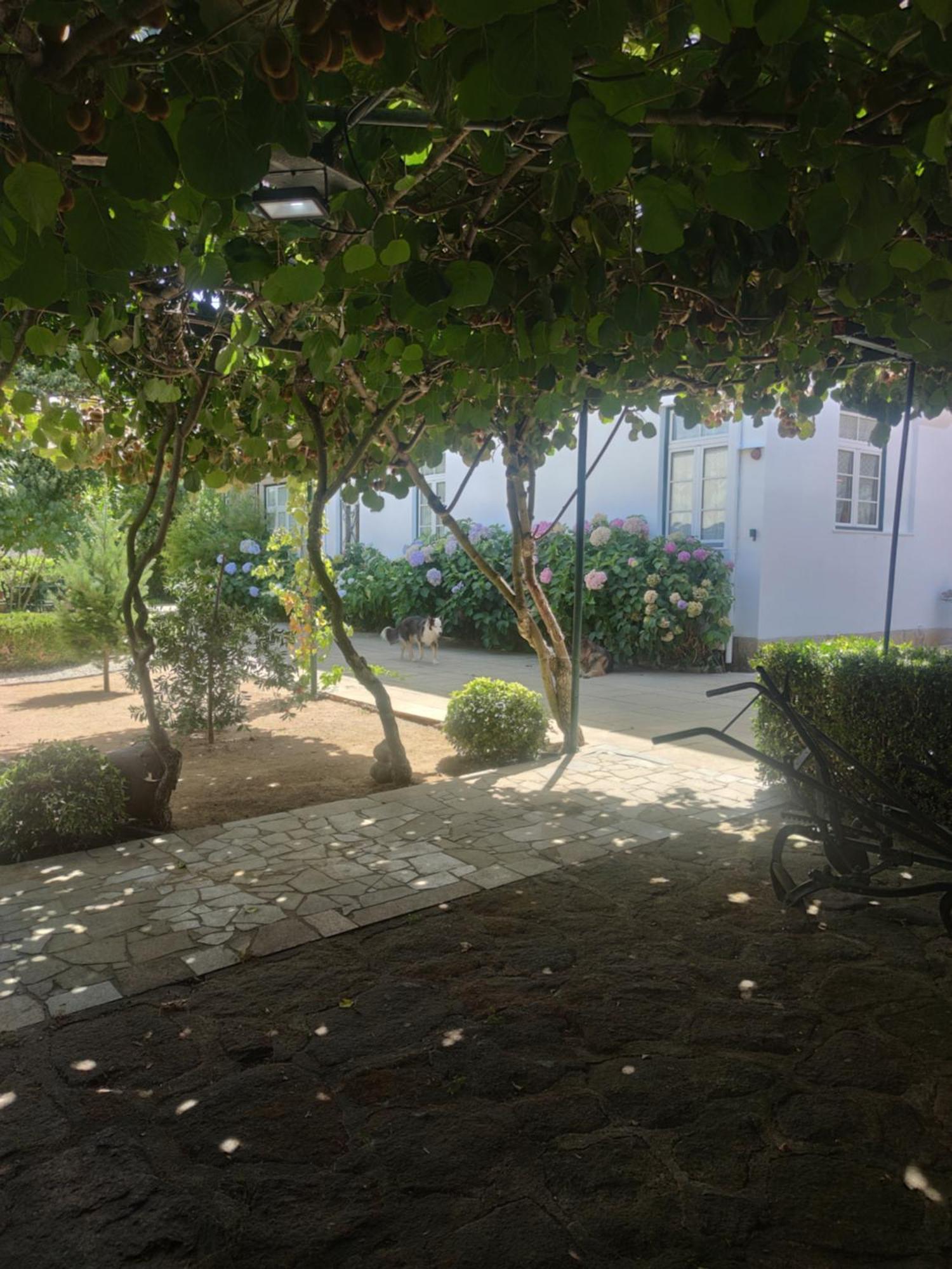 Real Santo Antonio Guest House Tarouca Exteriér fotografie